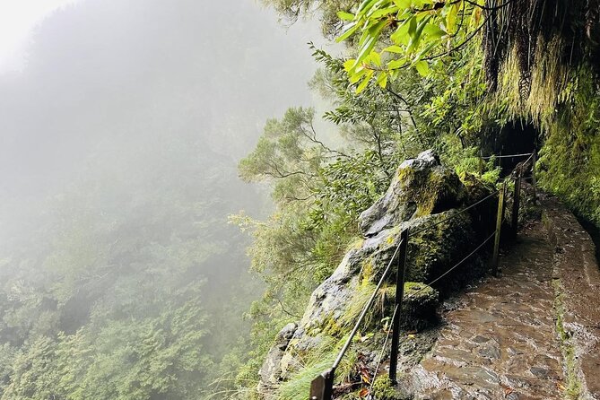 Levada do Caldeirão Verde Self-Guided Hike in Madeira - Who should book this hike—and who should think twice