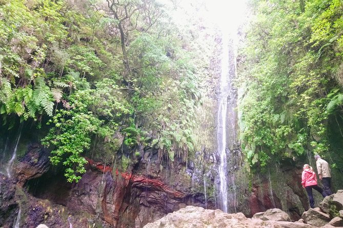 Levada & Waterfalls Hike 25 Fountains, Rabaçal, Risco more Challenging Walk - Stop 2: Levada do Alecrim (About an Hour of Water-Channel Walking)
