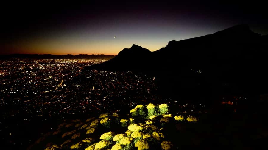 Lion's Head Sunrise or Sunset Hike + Hotel Pick-Up - Price and logistics: is $62 good value for Lion’s Head?