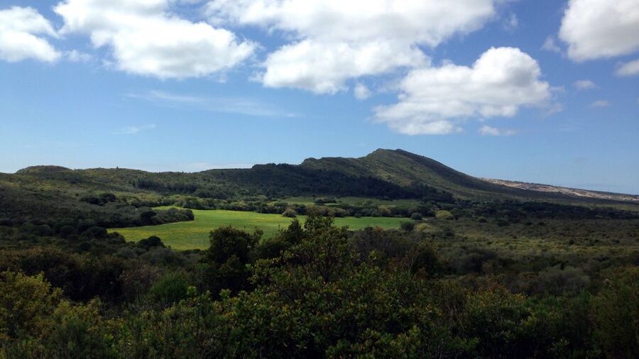 Lisbon: Hiking in Arrábida Natural Park - Your local guide: plants, geography, and stories that actually stick