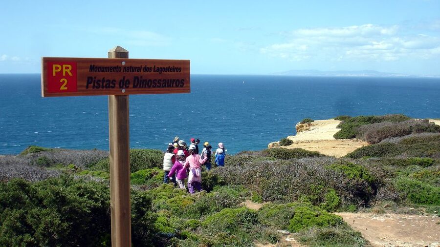 Lisbon: Hiking in Arrábida Natural Park - What the trail feels like: valleys, spring color, and coastal viewpoints