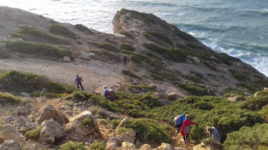 Lisbon: Hiking in Arrábida Natural Park - Sea-meets-mountain stops: cape choices, beach sections, and old stories