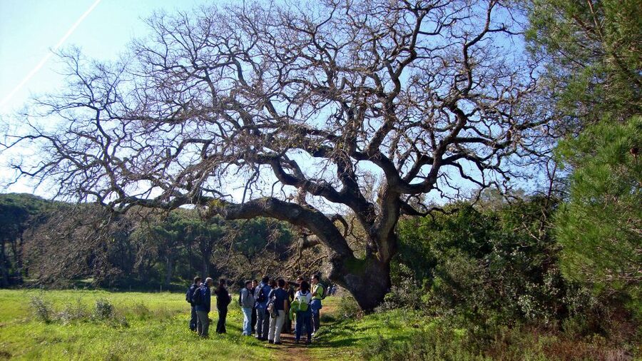 Lisbon: Hiking in Arrábida Natural Park - Price and value: what $47 buys beyond the hike