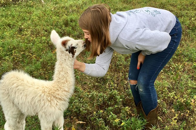 Llama/Alpaca Hike and Farm Tour - Key things to know before you go