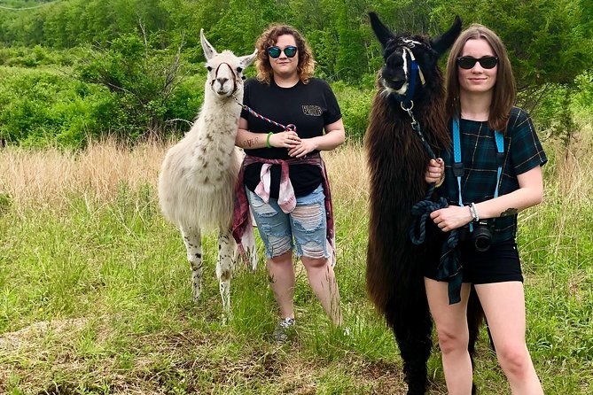 Llama/Alpaca Hike and Farm Tour - The guided hike: pastures, paddocks, and a Bass pond stop