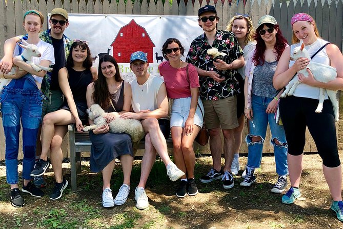 Llama/Alpaca Hike and Farm Tour - Price and value: why $67 makes sense for what you actually do