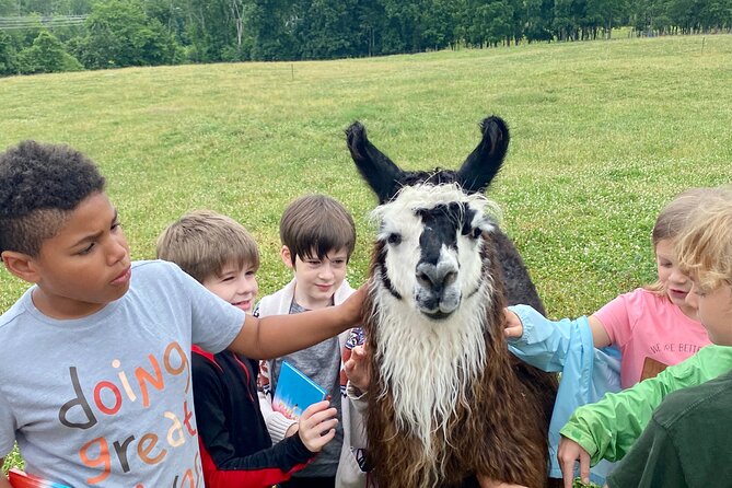 Llama/Alpaca Hike and Farm Tour - Who this tour fits best (and who should skip it)