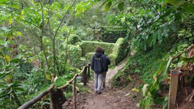 Lomba de São Pedro: Waterfall Hiking Tour with Tea Tasting - Lomba de São Pedro: where the falls feel close and personal
