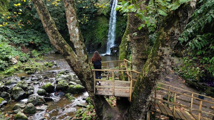 Lomba de São Pedro: Waterfall Hiking Tour with Tea Tasting - Ribeira dos Caldeirões Natural Park: the big waterfall payoff