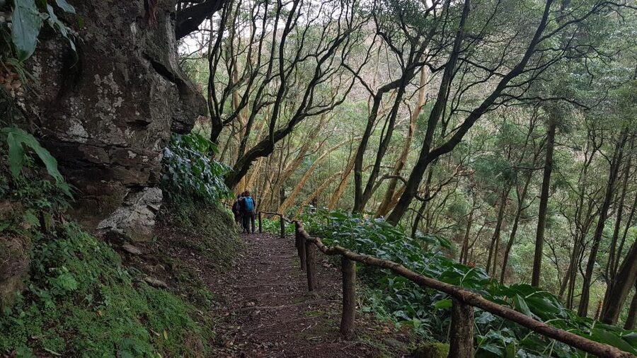 Lomba de São Pedro: Waterfall Hiking Tour with Tea Tasting - Santa Iria viewpoint: a final look back at the day’s valleys
