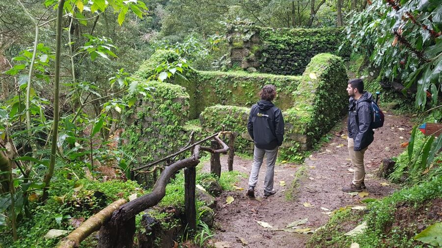 Lomba de São Pedro: Waterfall Hiking Tour with Tea Tasting - Guides in action: safety, plant knowledge, and real-world flexibility
