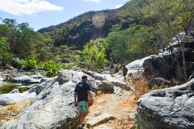 Los Cabos: Hiking at the Fox Canyon with Waterfall - Walking Fox Canyon: rocky steps, rope-assisted access, and the best splash timing