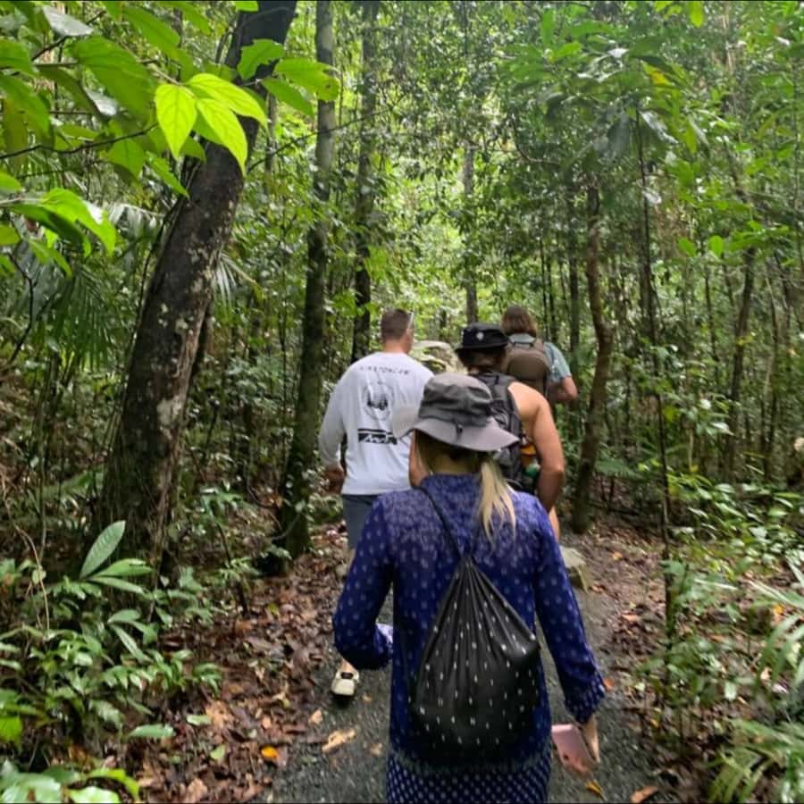 Mackay: Finch Hatton Gorge Hike, Swim & Platypus Adventure - Key highlights you’ll actually care about