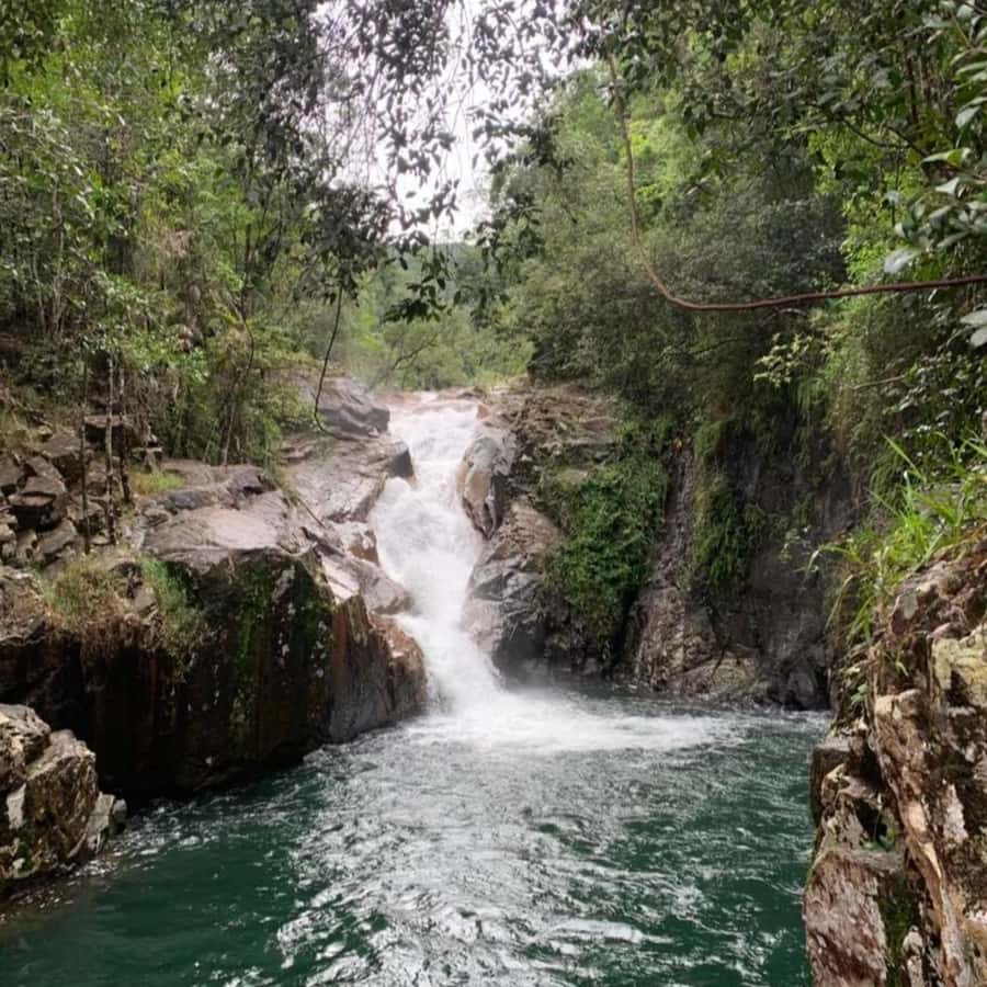 Mackay: Finch Hatton Gorge Hike, Swim & Platypus Adventure - Why Finch Hatton Gorge + Eungella feels like a full day, not a checklist