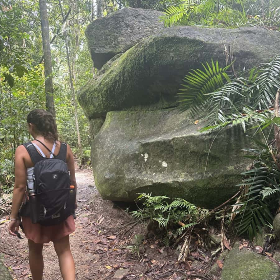 Mackay: Finch Hatton Gorge Hike, Swim & Platypus Adventure - Getting from Mackay to Finch Hatton Gorge: the ride is part of the experience