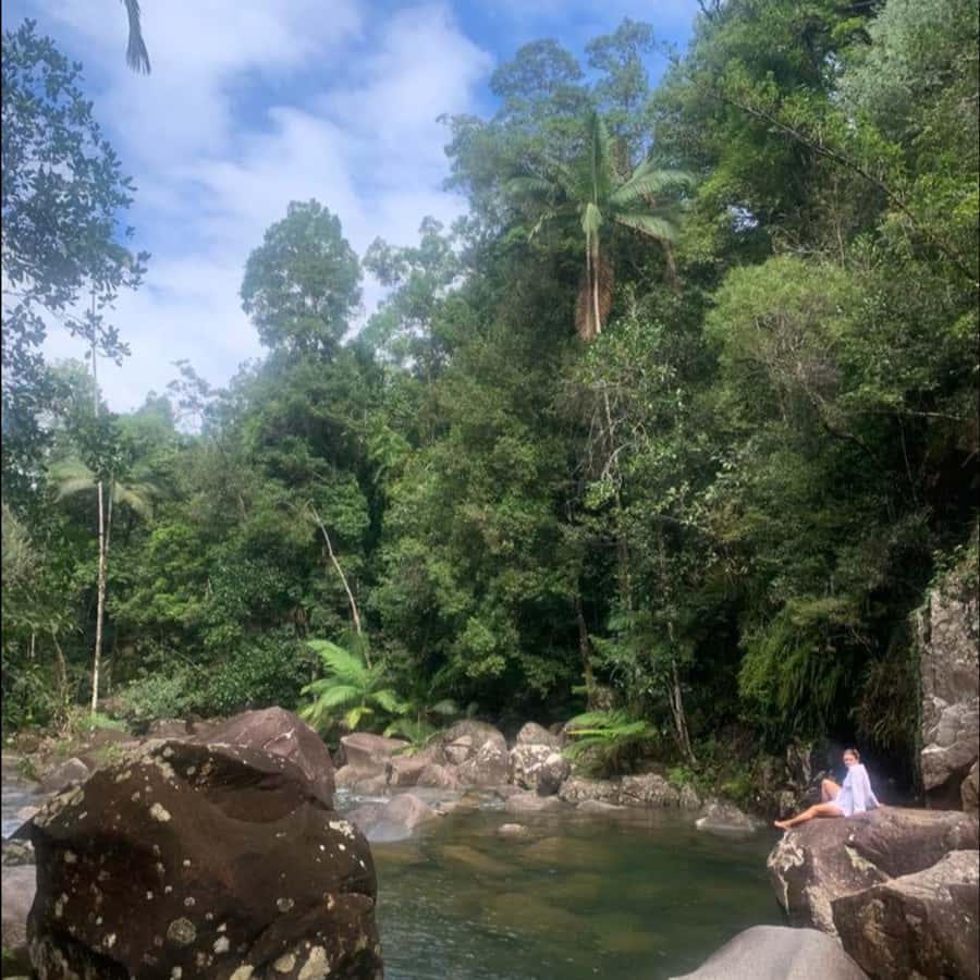 Mackay: Finch Hatton Gorge Hike, Swim & Platypus Adventure - Price and logistics: what $119 covers (and why it’s fair)