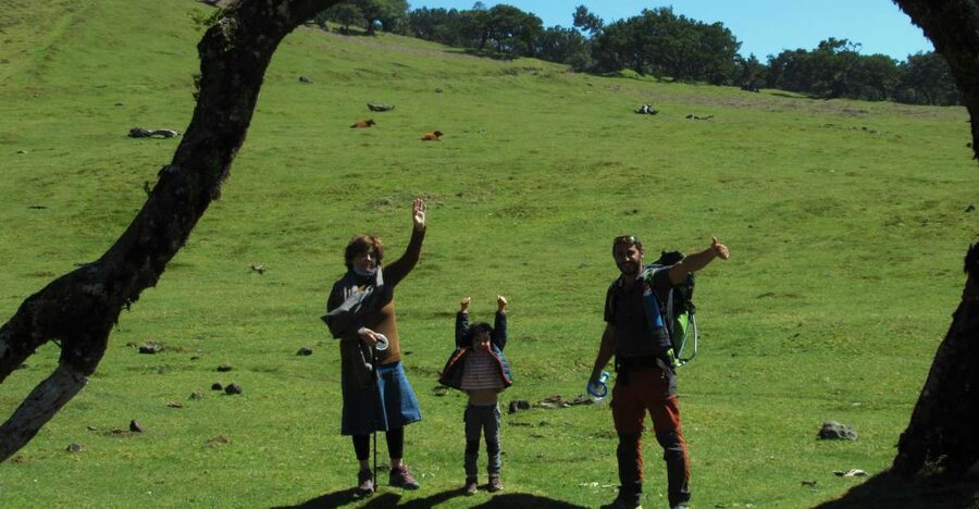 Madeira: Fanal Forest Guided Hiking Tour - Key highlights at a glance