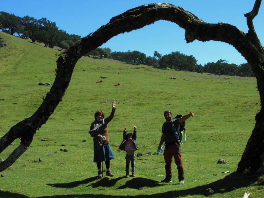 Madeira: Fanal Forest Guided Hiking Tour - Hotel Pickup and the Jeep/SUV Ride: 75 Minutes That Actually Help