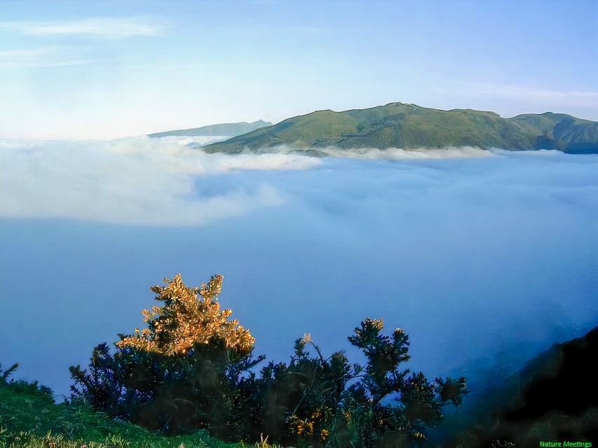 Madeira: Pico Arieiro to Pico Ruivo Hike - Key Highlights You’ll Actually Feel
