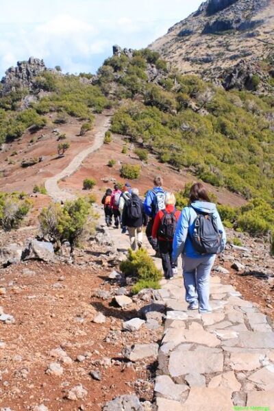 Madeira: Pico Arieiro to Pico Ruivo Hike - How the morning runs: pickups, vans, and your first views