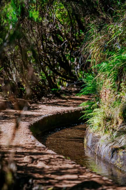 Madeira: PR 18 - Levada do Rei Hike Transfer - Quebradas Start: Farms, Forest Tunnels, and Ribeiro Bonito