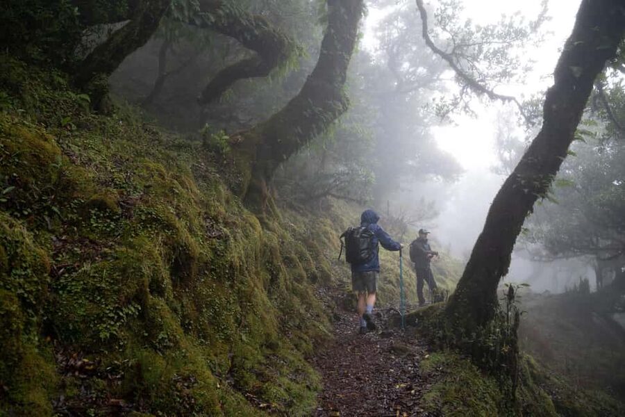Madeira: PR 9 - Levada do Caldeirão Verde Hike Transfer - Key takeaways before you go