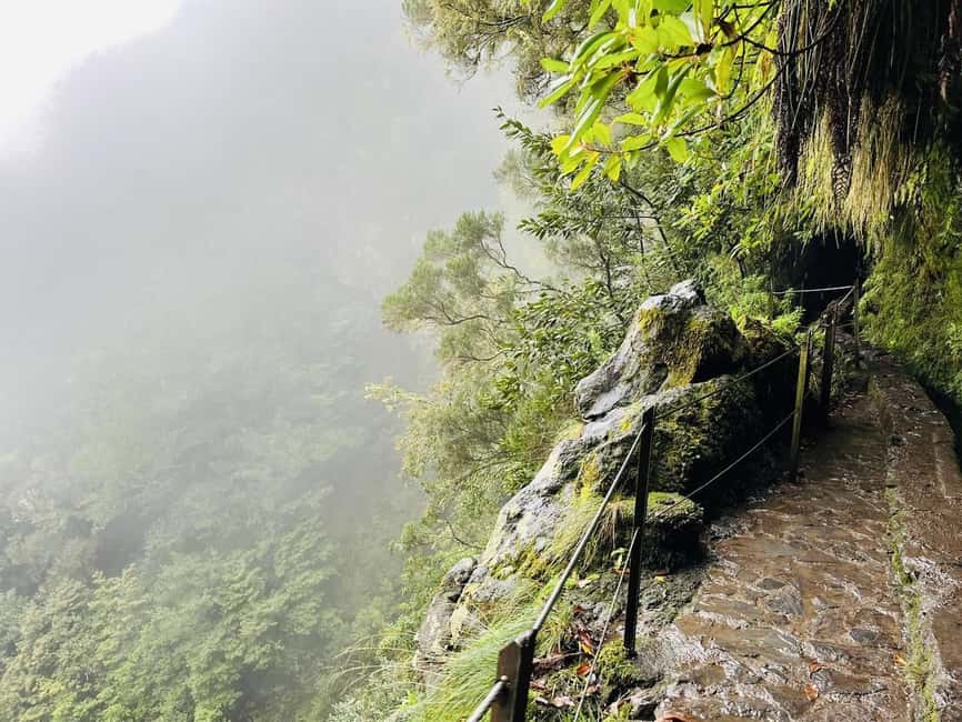 Madeira: PR 9 - Levada do Caldeirão Verde Hike Transfer - Why the Levada do Caldeirão Verde (PR9) earns its reputation