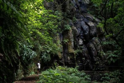 Madeira: PR 9 - Levada do Caldeirão Verde Hike Transfer - Pickup in Funchal, Caniço, and Garajau: the smooth start that saves your day