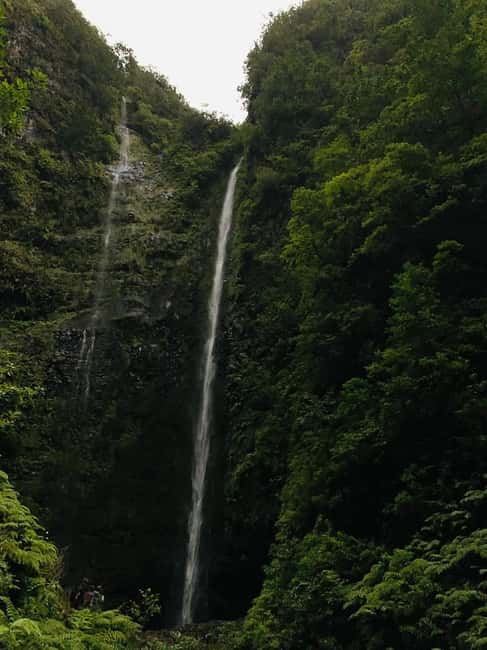 Madeira: PR 9 - Levada do Caldeirão Verde Hike Transfer - On-trail reality: levada walking in UNESCO Laurissilva, plus four tunnels