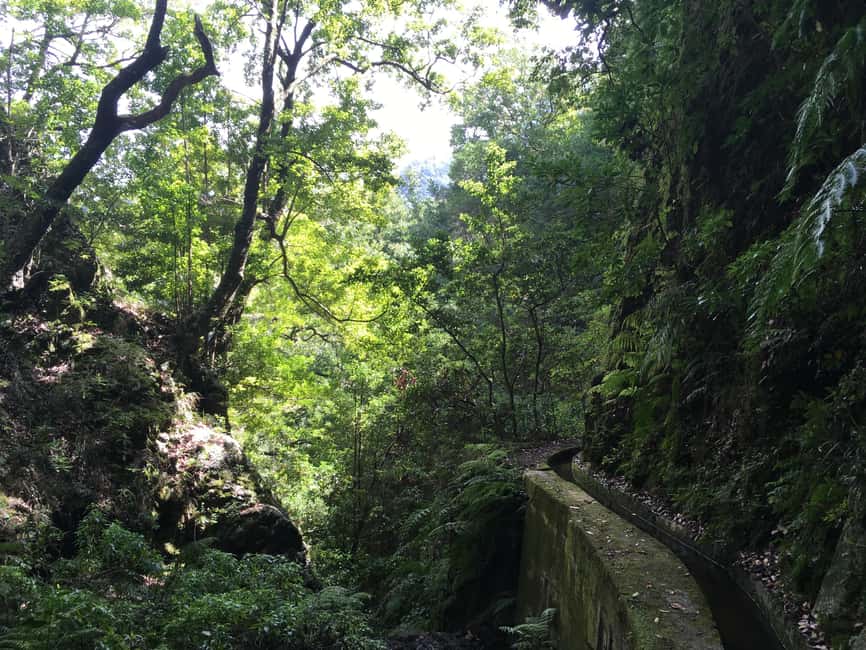 Madeira: PR 9 - Levada do Caldeirão Verde Hike Transfer - Entry fee and the Simplifica step: don’t leave this to chance