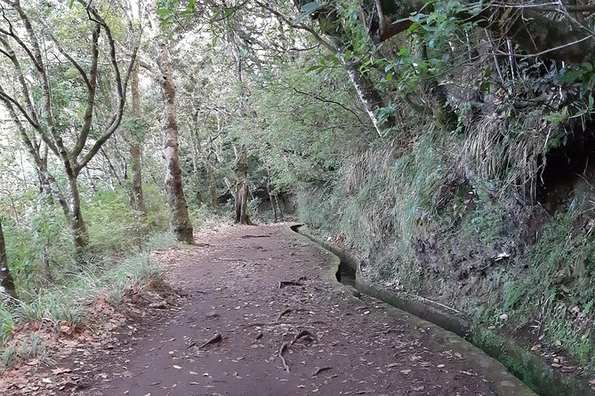 Madeira: Private 1.5-Kilometer Levada dos Balcões Hike PR11 - PR11 Levada dos Balcões: short distance, well-paced outing