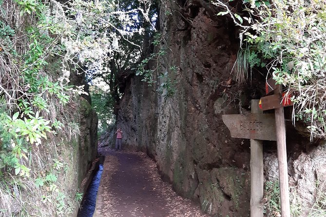 Madeira: Private 1.5-Kilometer Levada dos Balcões Hike PR11 - Who this hike suits best (and who might want a longer option)
