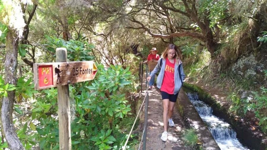 Madeira: Rabaçal, Risco and 25 Fontes Guided Hiking Tour - Madeira’s Rabaçal and 25 Fontes: why this route hits the right spots