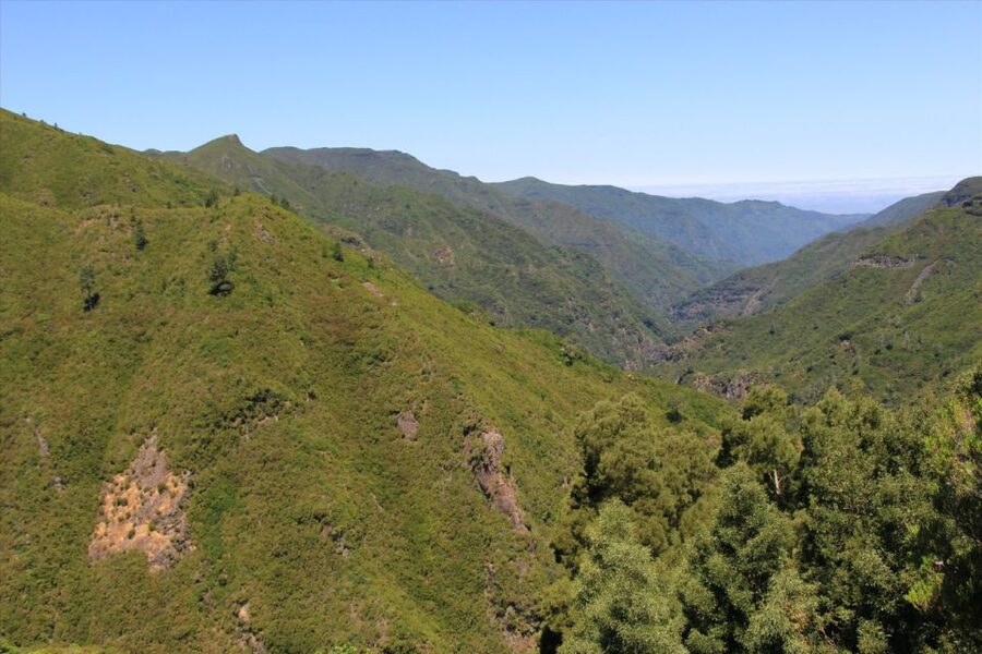 Madeira: Rabaçal, Risco and 25 Fontes Guided Hiking Tour - Price and value: why $47 can make sense here