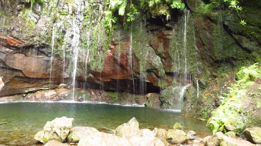 Madeira: Rabaçal, Risco and 25 Fontes Guided Hiking Tour - How you get to Paúl da Serra (and why those bus stops matter)