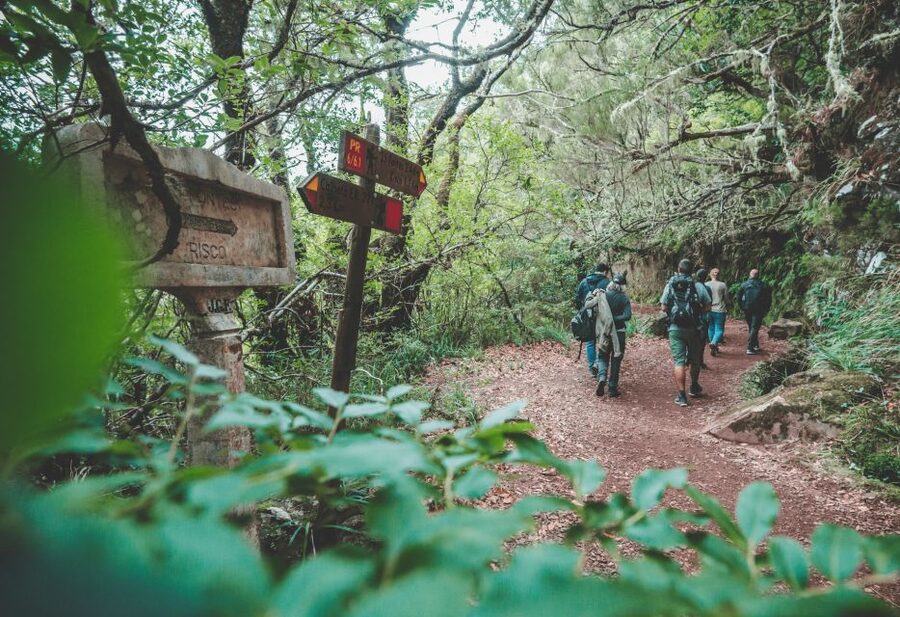 Madeira: Rabaçal Valley and the 25 Fountains Hike - Who should book this hike, and who should skip it