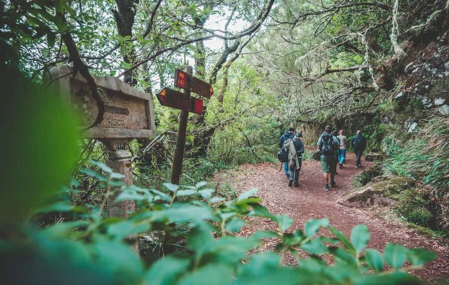 Madeira: Rabaçal Valley and the 25 Fountains Hike - Getting to Rabaçal: pickup, the van ride, and how the day starts