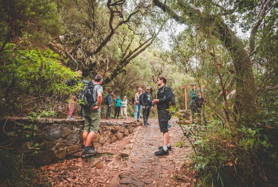 Madeira: Rabaçal Valley and the 25 Fountains Hike - The Risco Waterfall detour: 700 meters that feel like a reset