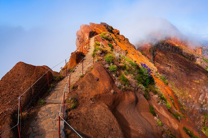 Madeira Stairway to Heaven to Larano Hike Mountain to Sea - Key highlights that make this hike worth your time