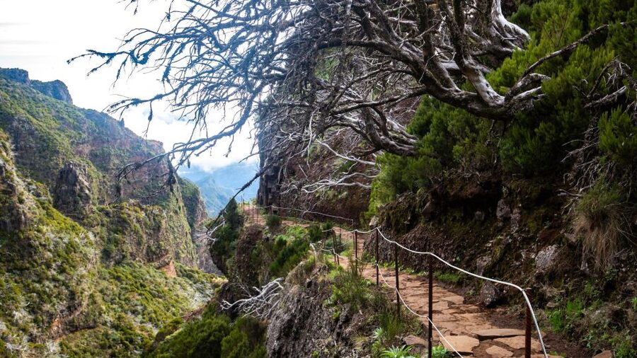 Madeira Stairway to Heaven to Larano Hike Mountain to Sea - Porto da Cruz and poncha: the best kind of end-of-day reward