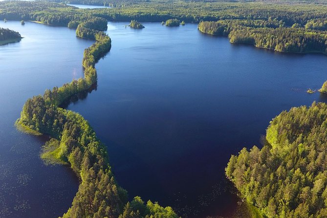 Magical Taiga Forest Hike with Lunch and Transportation - Price and value: what $187.53 covers (and what you’re really buying)