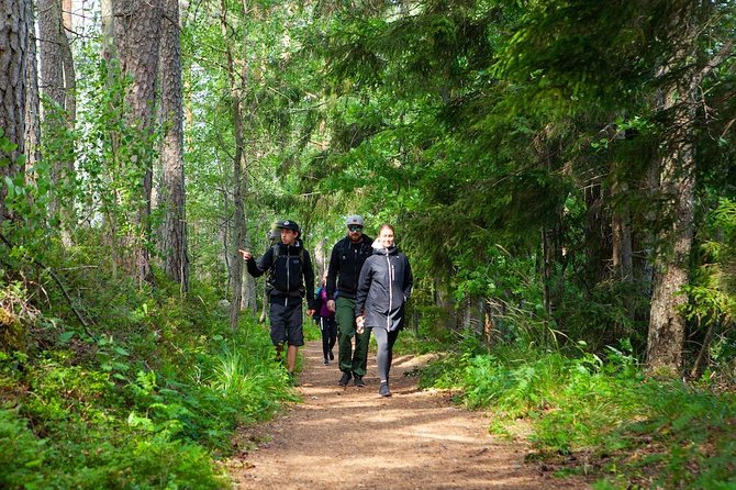 Magical Taiga Forest Hike with Lunch and Transportation - Weather and day-of reality: rain, insects, and what to pack