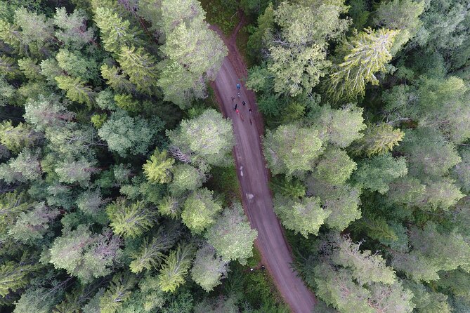 Magical Taiga Forest Hike with Lunch and Transportation - Sustainability matters here: how the trip reduces waste in a practical way