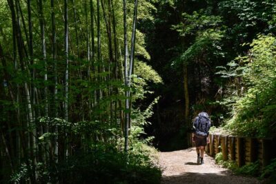 Magome & Tsumago Nakasendo Trail Day Hike with Government-Licensed Guide - The Nakasendo Trail stretch: an easy hike that still feels like a journey