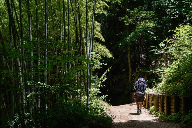 Magome & Tsumago Nakasendo Trail Day Hike with Government-Licensed Guide - The Nakasendo Trail stretch: an easy hike that still feels like a journey