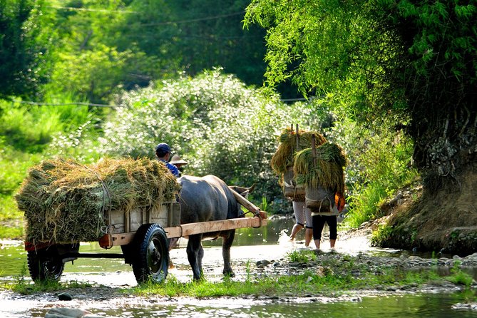 Mai Chau Private Day Tour: Hiking & Biking in Pristine Landscapes - Mai Chau in one day: what this tour really feels like