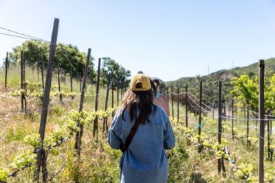 Malibu: Guided Vineyard Hike with Photo Stops and Wine - The Hike Itself: 2 to 2.5 Miles, About 300 Feet Up