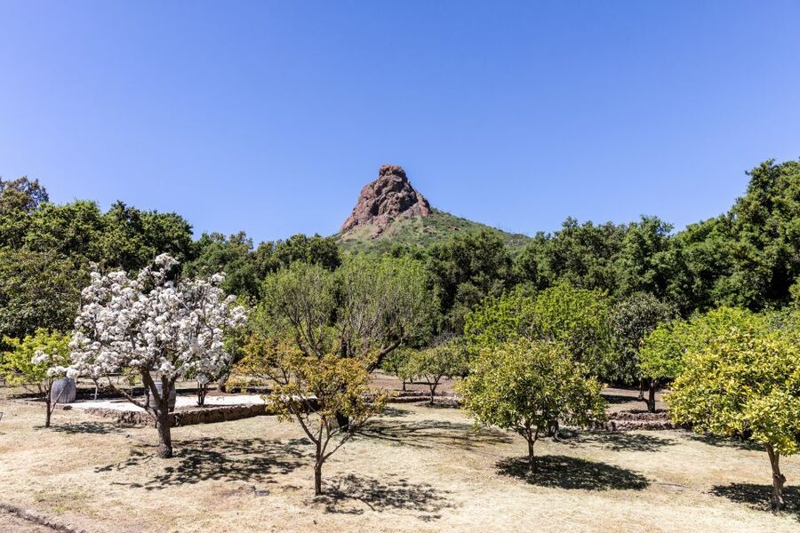 Malibu: Guided Vineyard Hike with Photo Stops and Wine - Two take-home cans: how the tour ends