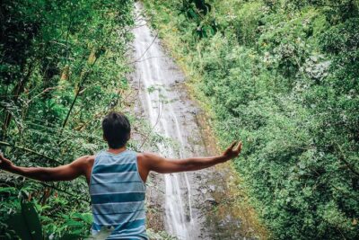 Manoa Waterfall Hike with Waikiki Pickup & Healthy Lunch - A guided walk through Manoa Valley’s rainforest textures