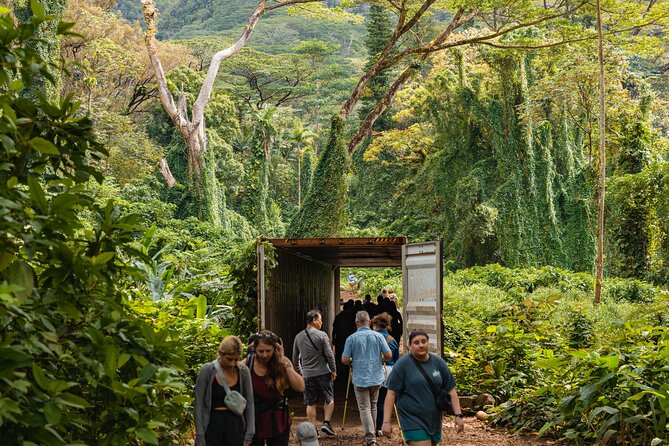 Manoa Waterfall Hike with Waikiki Pickup & Healthy Lunch - How long is this really, and what difficulty should you expect?